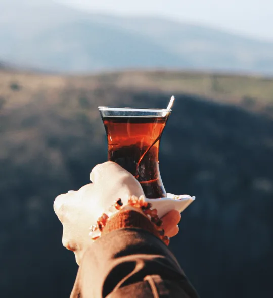 Çay Çeşitleri